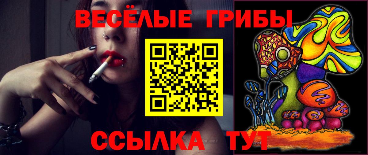купить наркотик  Галлюциногенные грибы Psilocybine cubensis  Вход с VPN  Сургут 