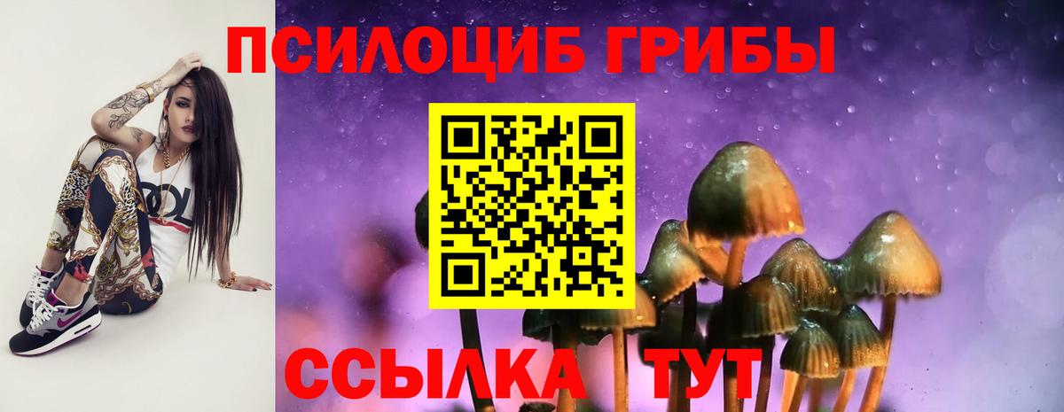 Галлюциногенные грибы Magic Shrooms Сургут