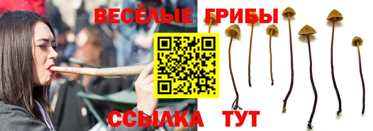 ГАШИШ Сургут